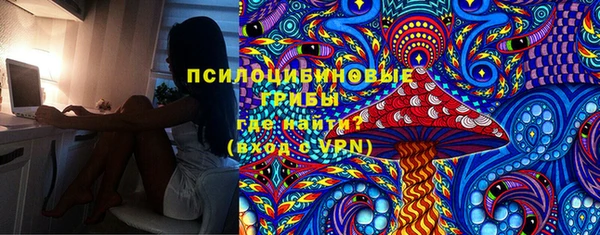 эйфоретик Алзамай