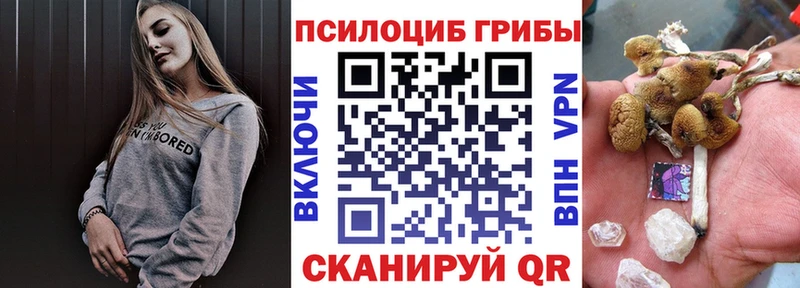 Галлюциногенные грибы мицелий  Сосновка 